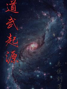 道武是什么