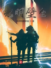 光明壁垒好用吗