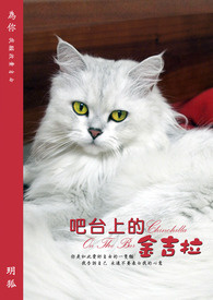 吧台上的未破十大悬案
